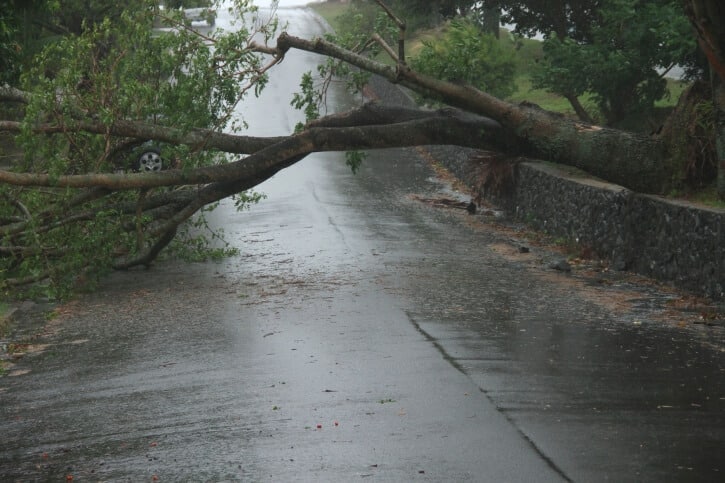 roof wind damage